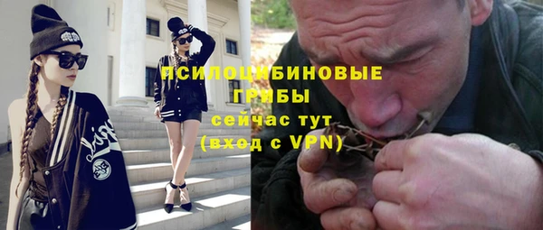 молекула духа Балахна