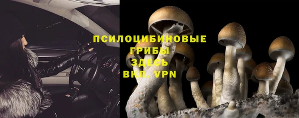 альфа пвп Баксан