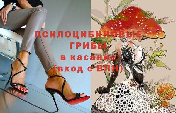 кокс Сосновый Бор